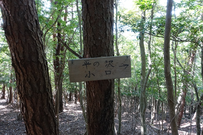 三郎ヶ岳　No92