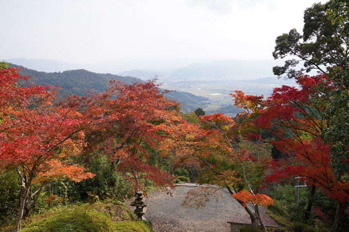 亀岡市_紅葉_01　No22