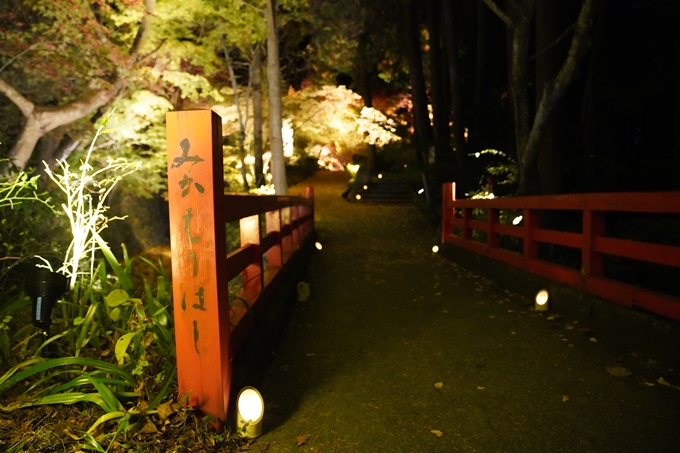 京都_紅葉_2020_神蔵寺　No4