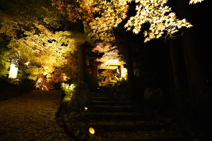 京都_紅葉_2020_神蔵寺　No9