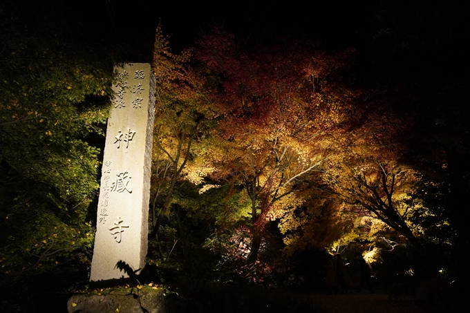 京都_紅葉_2020_神蔵寺　No10