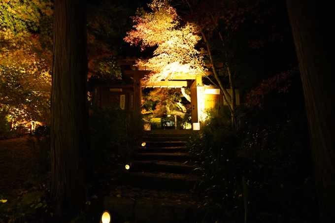 京都_紅葉_2020_神蔵寺　No11