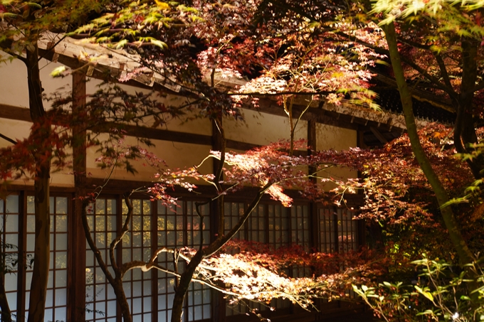 京都_紅葉_2020_神蔵寺　No20