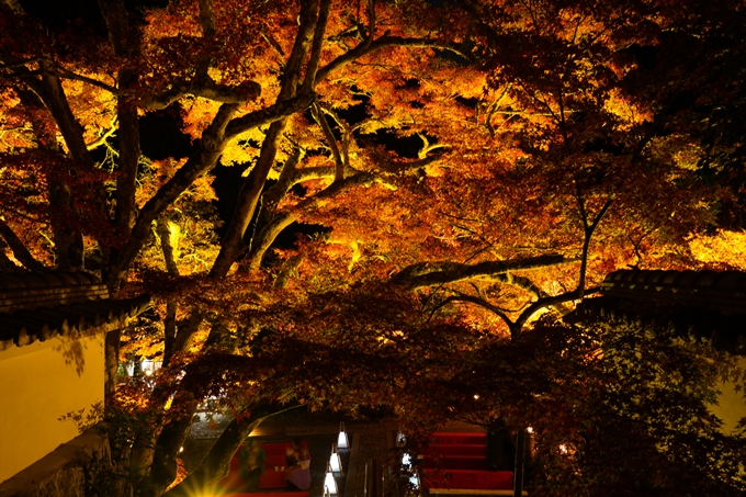 京都_紅葉_2020_神蔵寺　No27