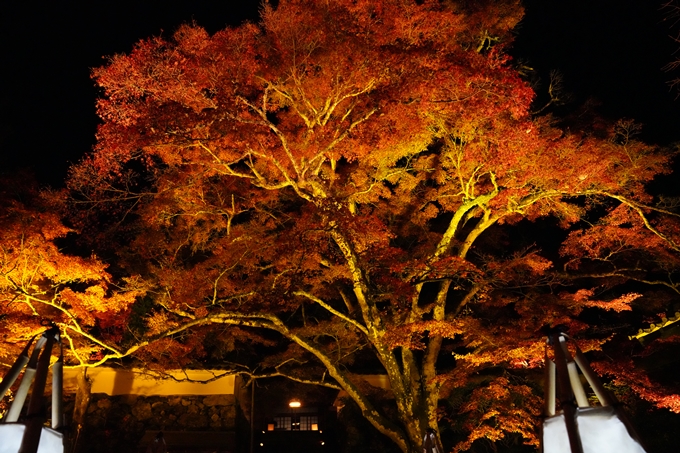 京都_紅葉_2020_神蔵寺　No26