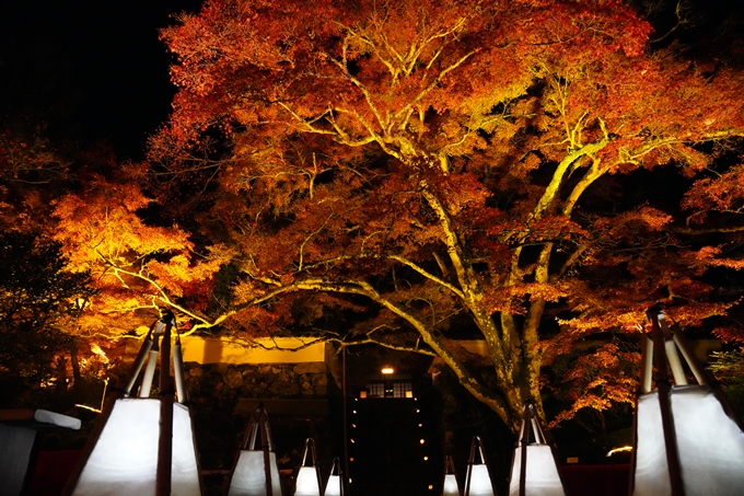 京都_紅葉_2020_神蔵寺　No25