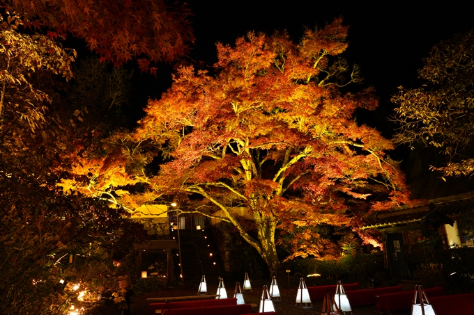 京都_紅葉_2020_神蔵寺　No23