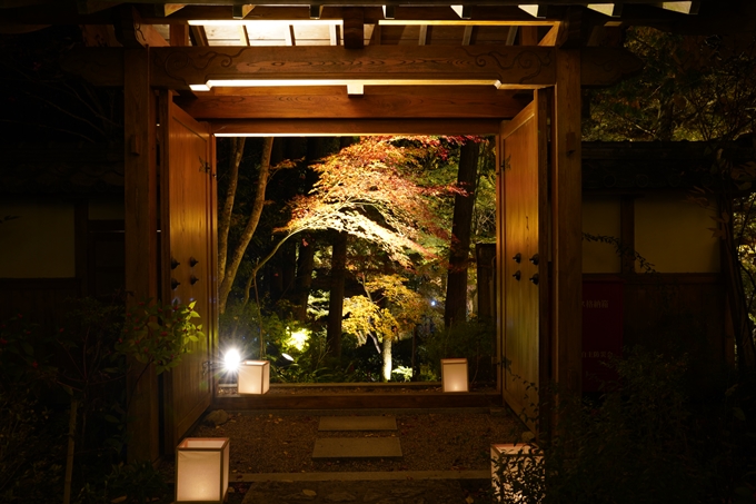 京都_紅葉_2020_神蔵寺　No15