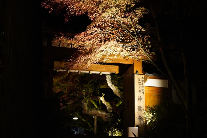 京都_紅葉_2020_神蔵寺　No12