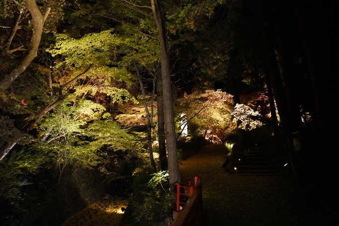 京都_紅葉_2020_神蔵寺　No5