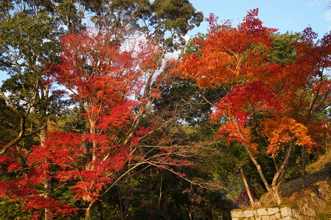 京都_紅葉_2020_千手寺　No2