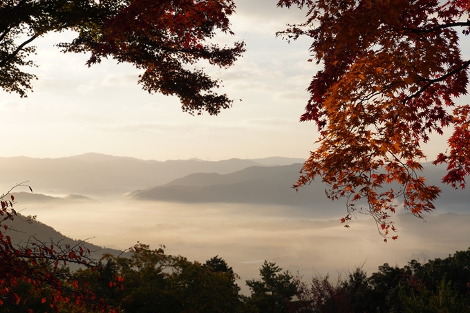 京都_紅葉_2020_千手寺　No4