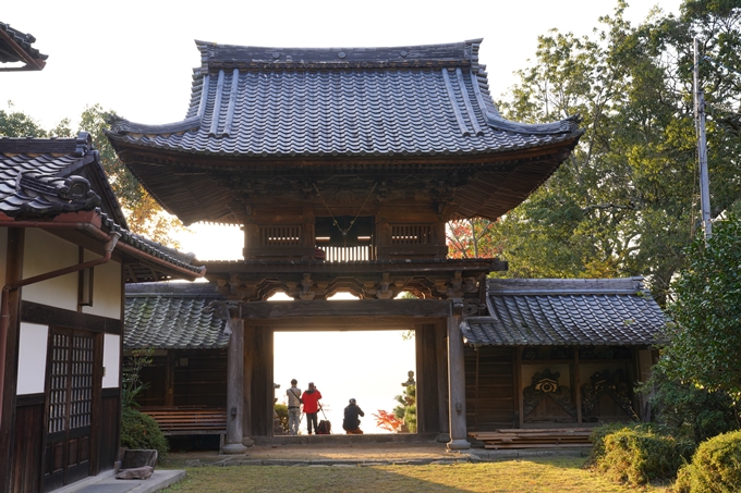 京都_紅葉_2020_千手寺　No9