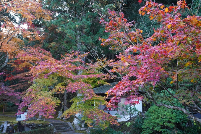 京都_紅葉_2020_積善寺_苗秀寺　No4