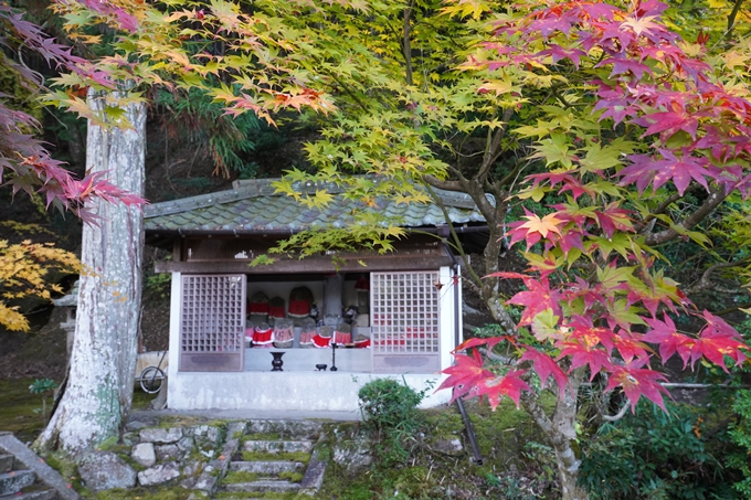 京都_紅葉_2020_積善寺_苗秀寺　No5