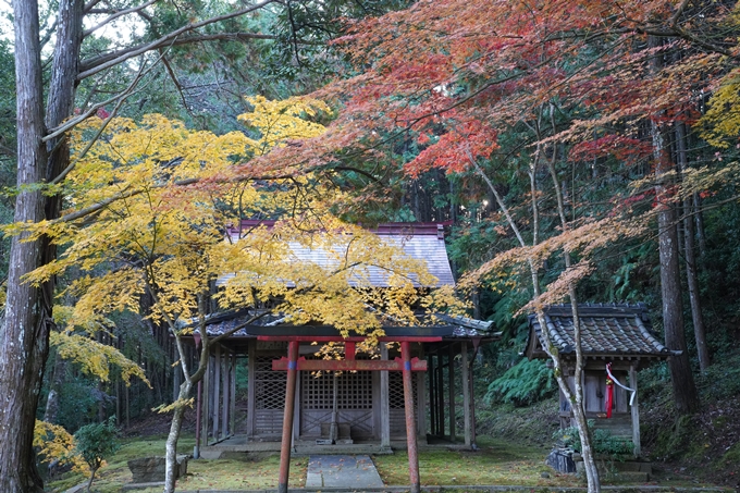 京都_紅葉_2020_積善寺_苗秀寺　No6