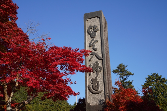 京都_紅葉_2020_積善寺_苗秀寺　No10