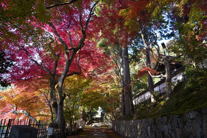 京都_紅葉_2020_積善寺_苗秀寺　No14