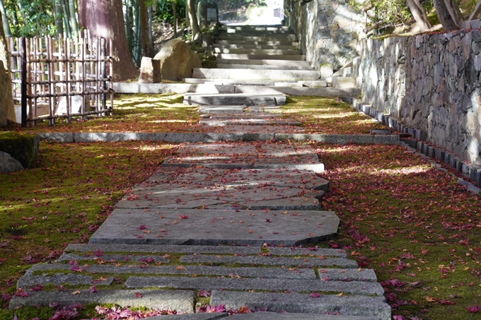 京都_紅葉_2020_積善寺_苗秀寺　No15