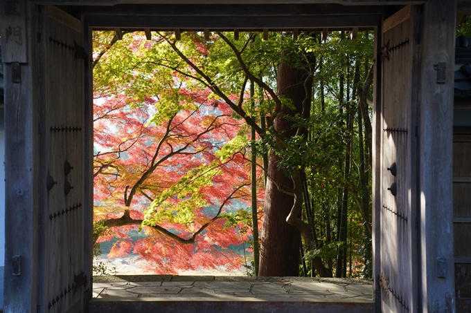 京都_紅葉_2020_積善寺_苗秀寺　No17