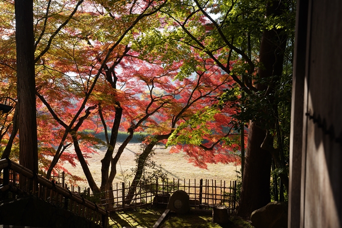 京都_紅葉_2020_積善寺_苗秀寺　No18