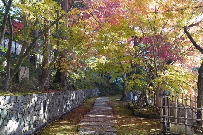 京都_紅葉_2020_積善寺_苗秀寺　No19