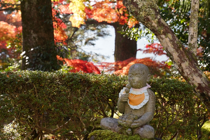 京都_紅葉_2020_積善寺_苗秀寺　No22