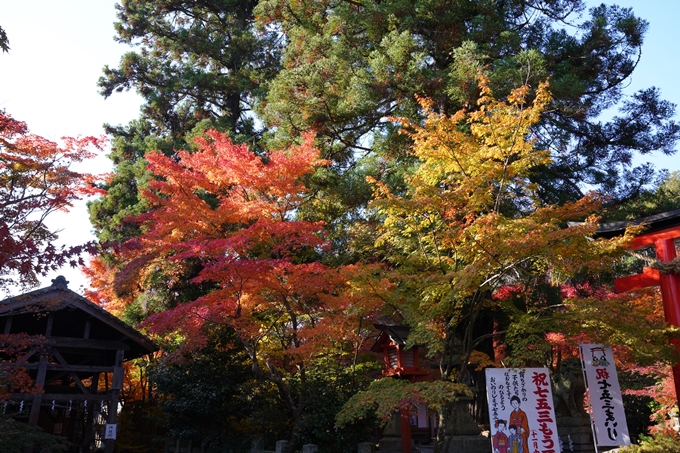 京都_紅葉_2020_鍬山神社　No7