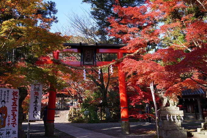 京都_紅葉_2020_鍬山神社　No9