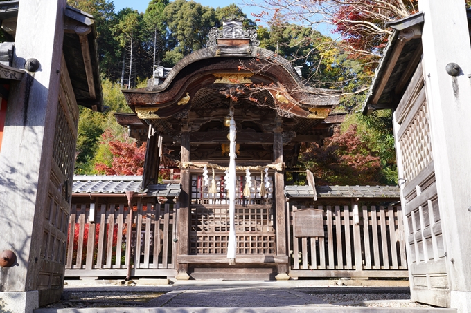 京都_紅葉_2020_鍬山神社　No14