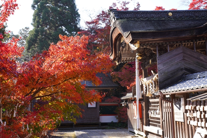 京都_紅葉_2020_鍬山神社　No15