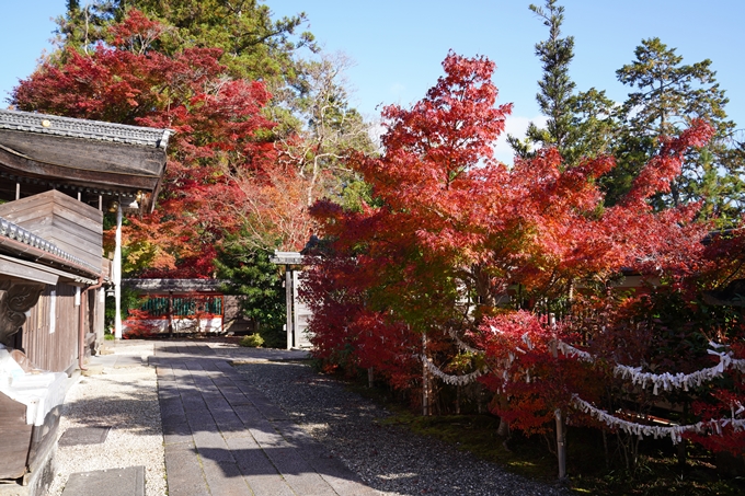 京都_紅葉_2020_鍬山神社　No17