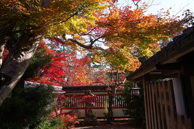 京都_紅葉_2020_鍬山神社　No20