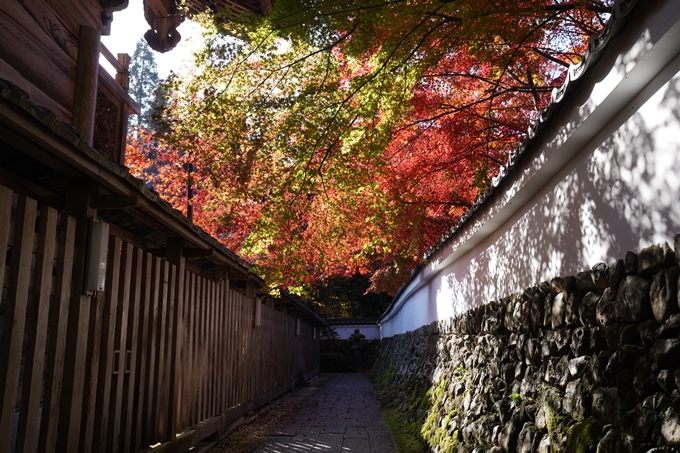 京都_紅葉_2020_鍬山神社　No21