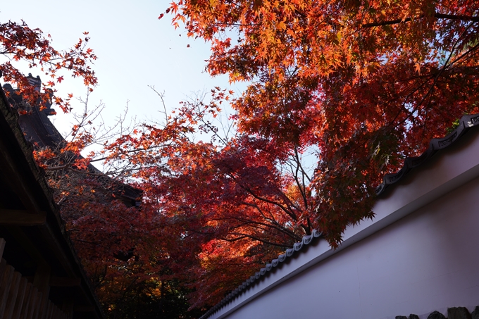 京都_紅葉_2020_鍬山神社　No23