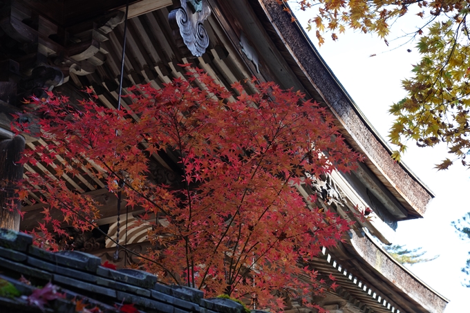 京都_紅葉_2020_鍬山神社　No26