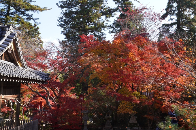 京都_紅葉_2020_鍬山神社　No27