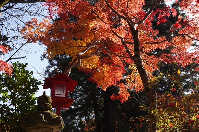 京都_紅葉_2020_鍬山神社　No29