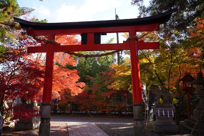 京都_紅葉_2020_鍬山神社　No30