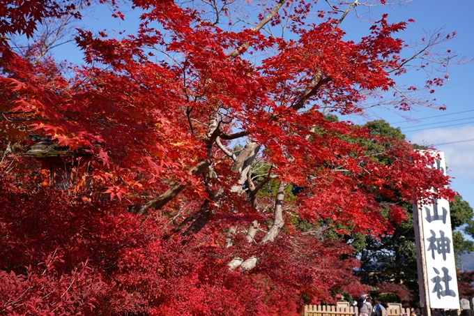 京都_紅葉_2020_鍬山神社　No35