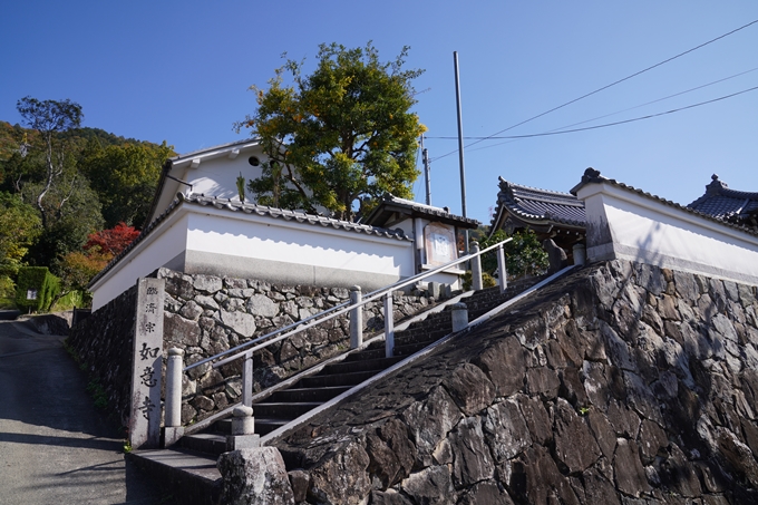 京都_紅葉_2020_請田神社　No2