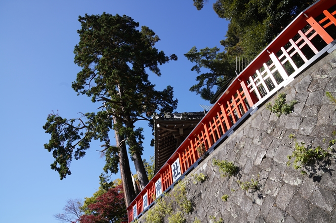 京都_紅葉_2020_請田神社　No8