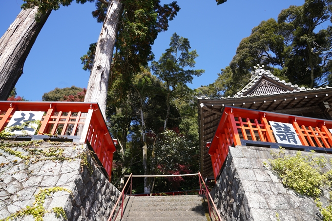 京都_紅葉_2020_請田神社　No9