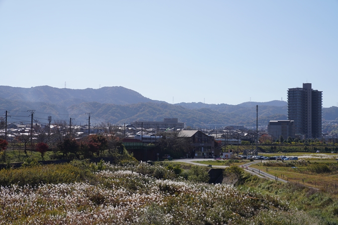 京都_紅葉_2020_請田神社　No11