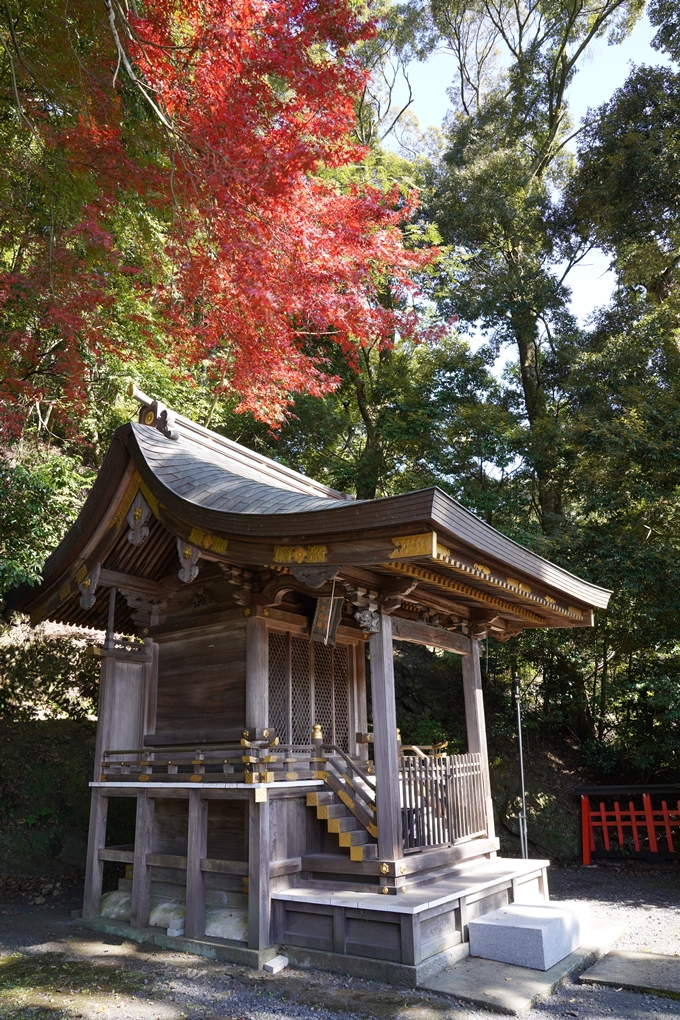 京都_紅葉_2020_請田神社　No19