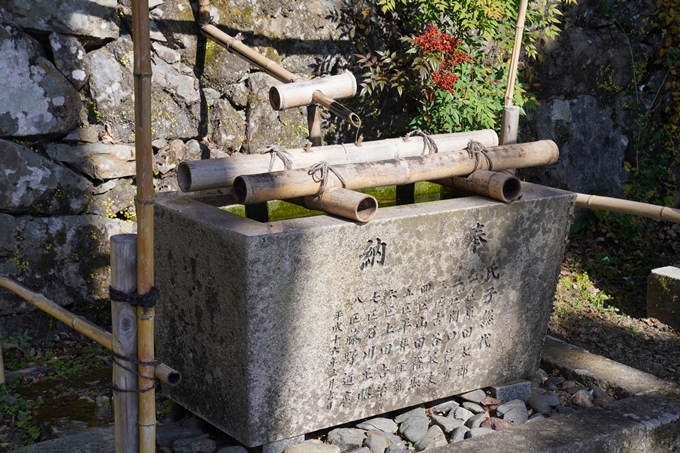 京都_紅葉_2020_請田神社　No25