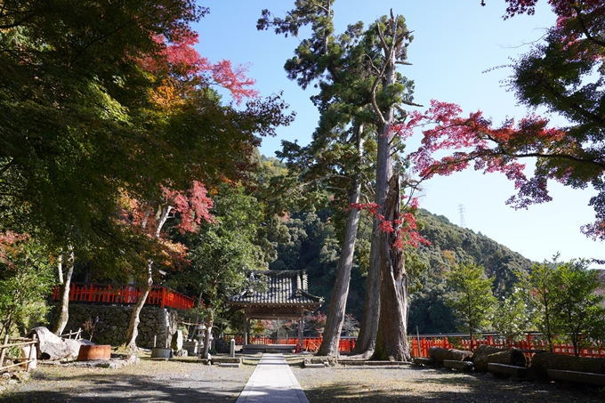 京都_紅葉_2020_請田神社　No27