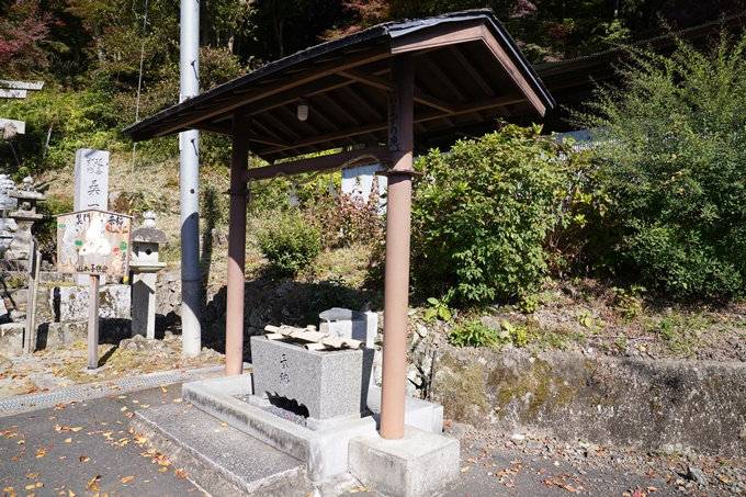 京都_紅葉_2020_桑田神社　No2