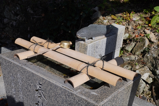 京都_紅葉_2020_桑田神社　No3