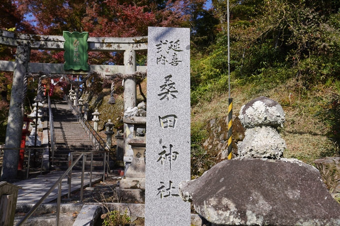 京都_紅葉_2020_桑田神社　No6